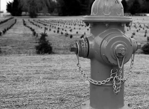 DDOS压力测试网页端